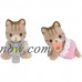 Calico Critters Sandy Cat Twins   565906860